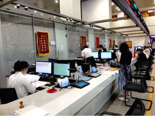 科技賦能，服務百姓——北京順義區(qū)創(chuàng)新技術服務模式探秘